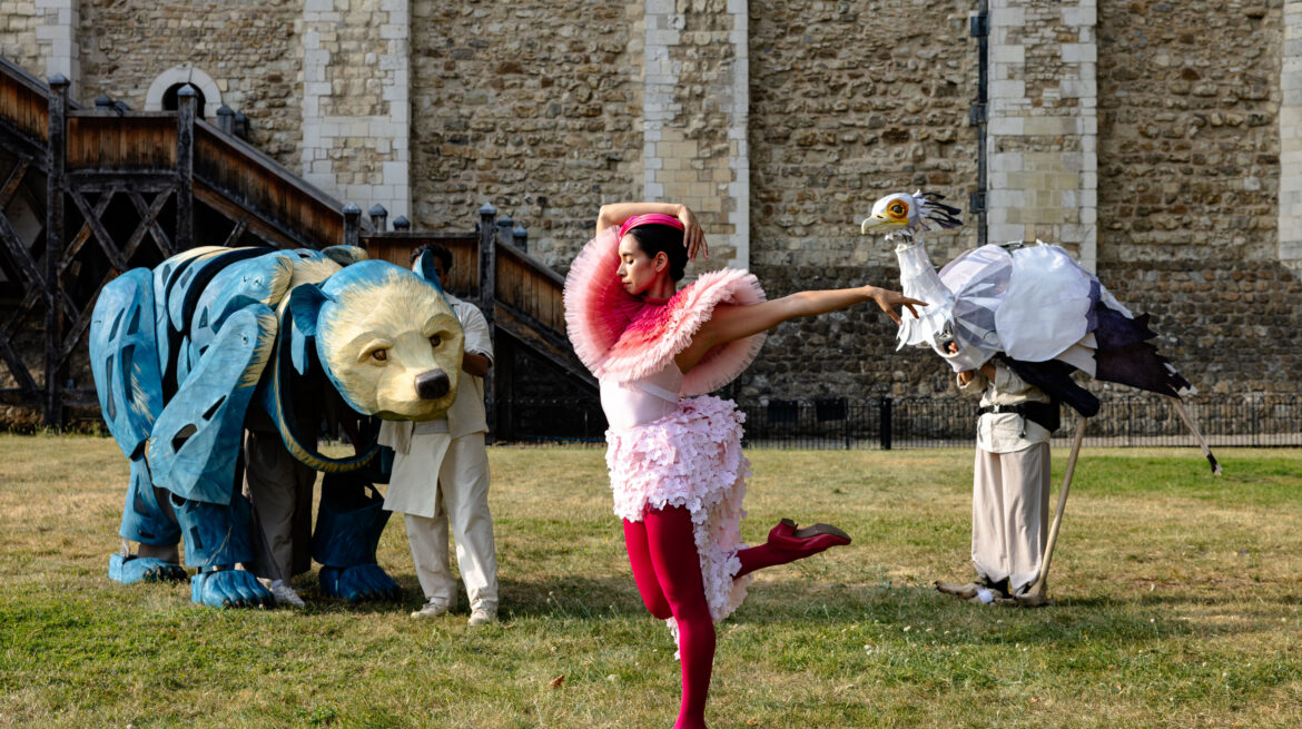 IMAGININGANIMALS-(c)ZoëBirkbeckPhotography-32