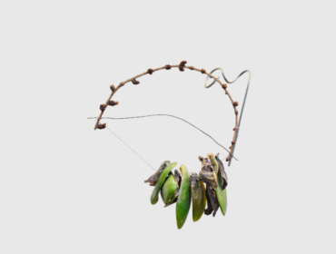 Foraging Quipu Featured image-1