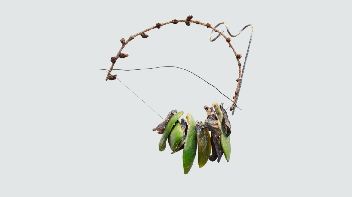 Foraging Quipu Header 1