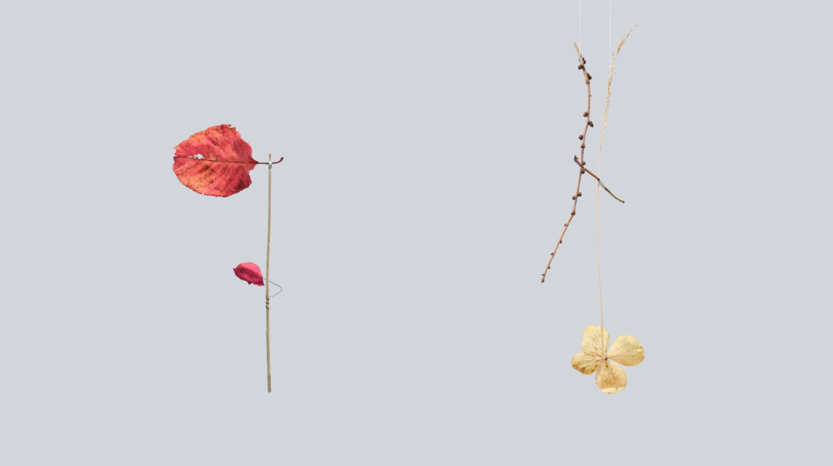 Foraging Quipu graphic header