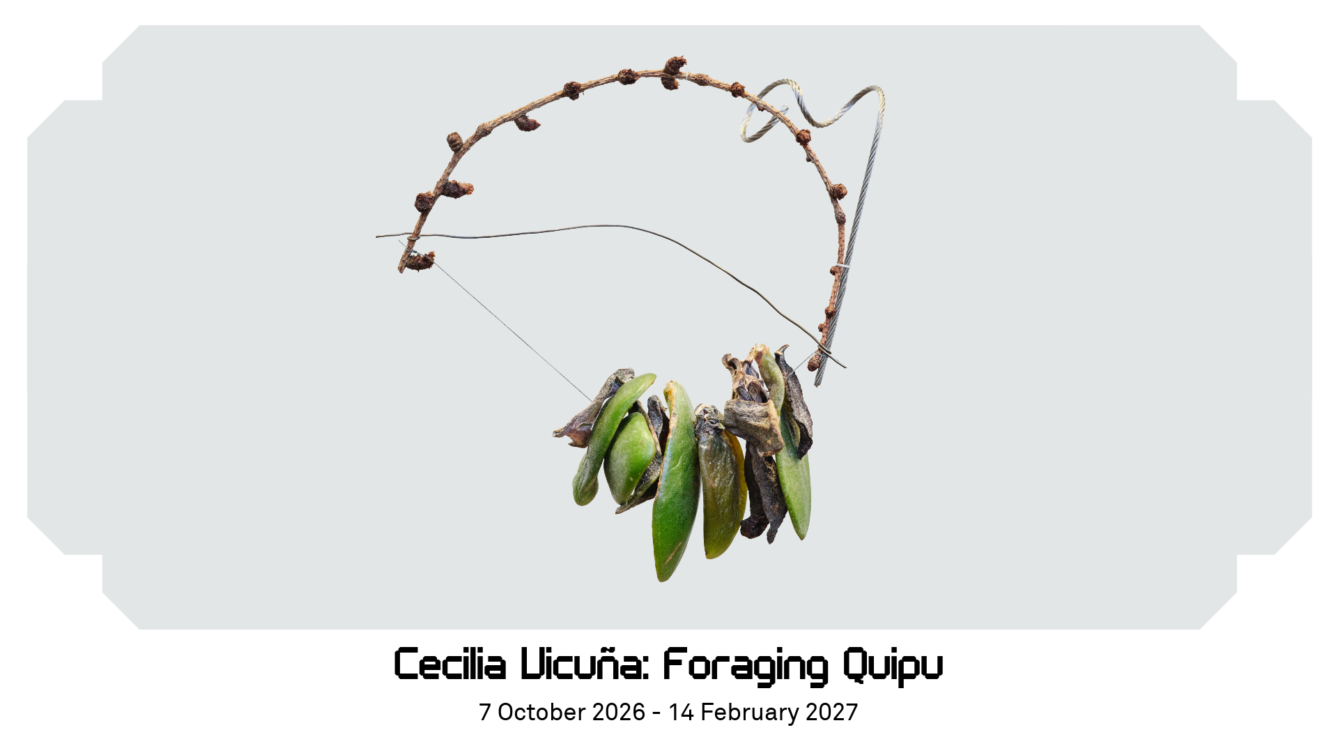 Cecilia vicuña FQ homepge slider