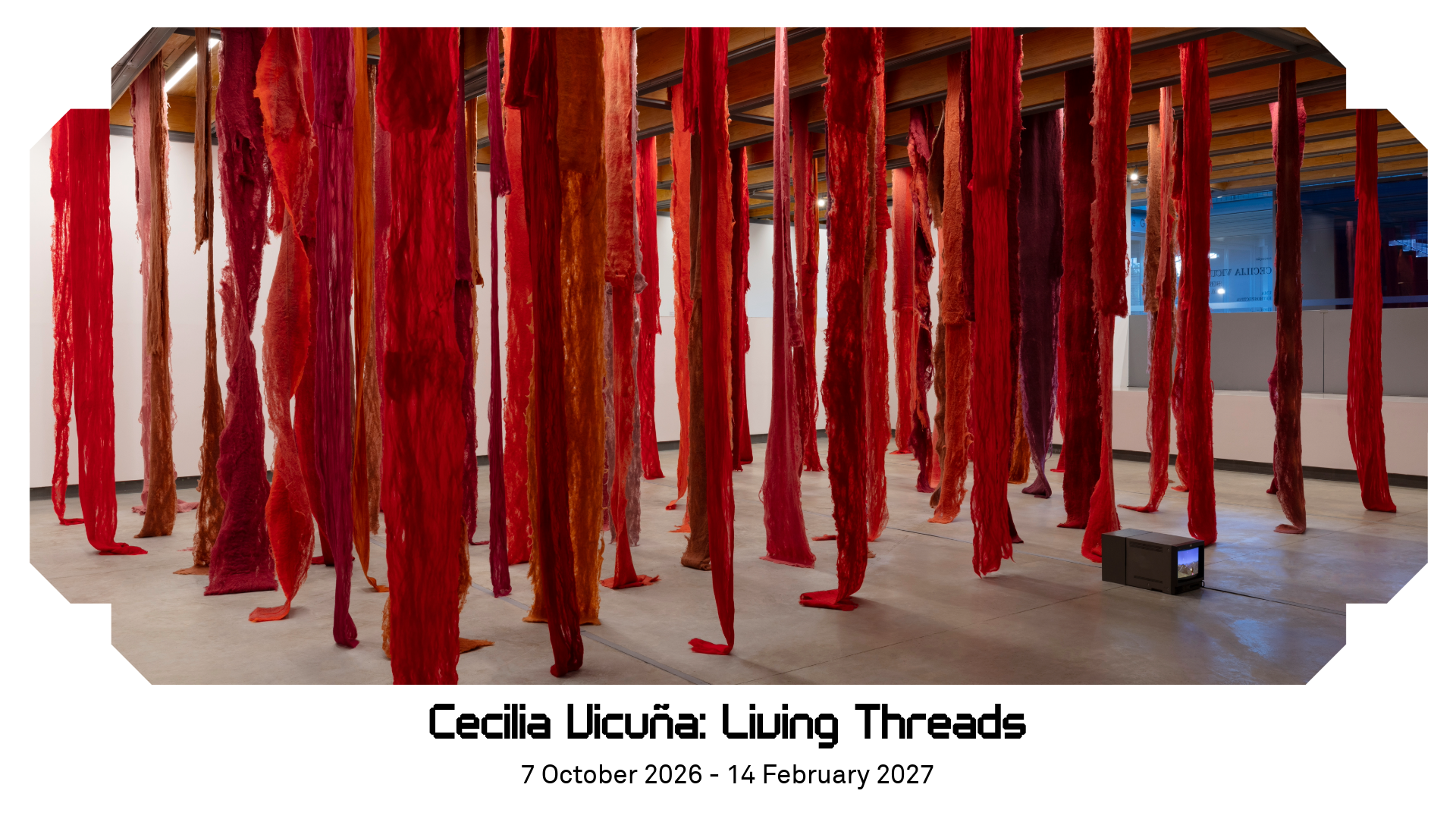 Cecilia vicuña LT homepge slider